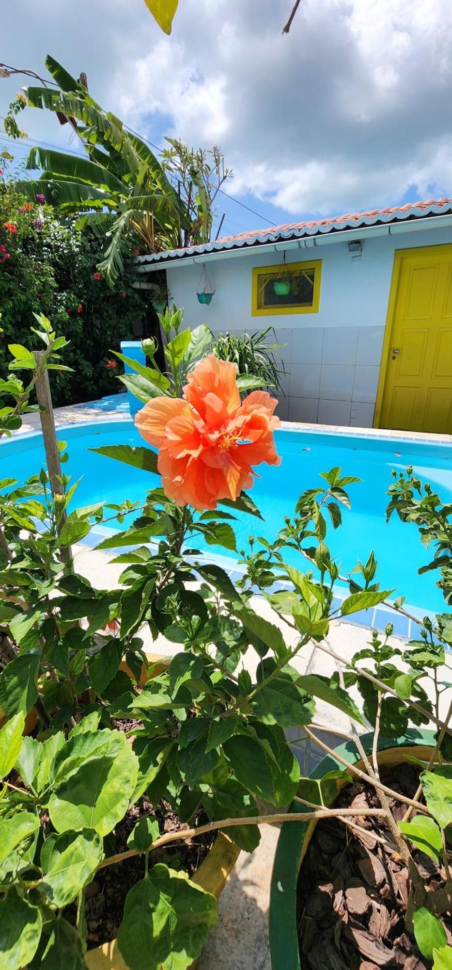 Mandala Dreams Pousada E Portal Holistico Maceio  Ngoại thất bức ảnh