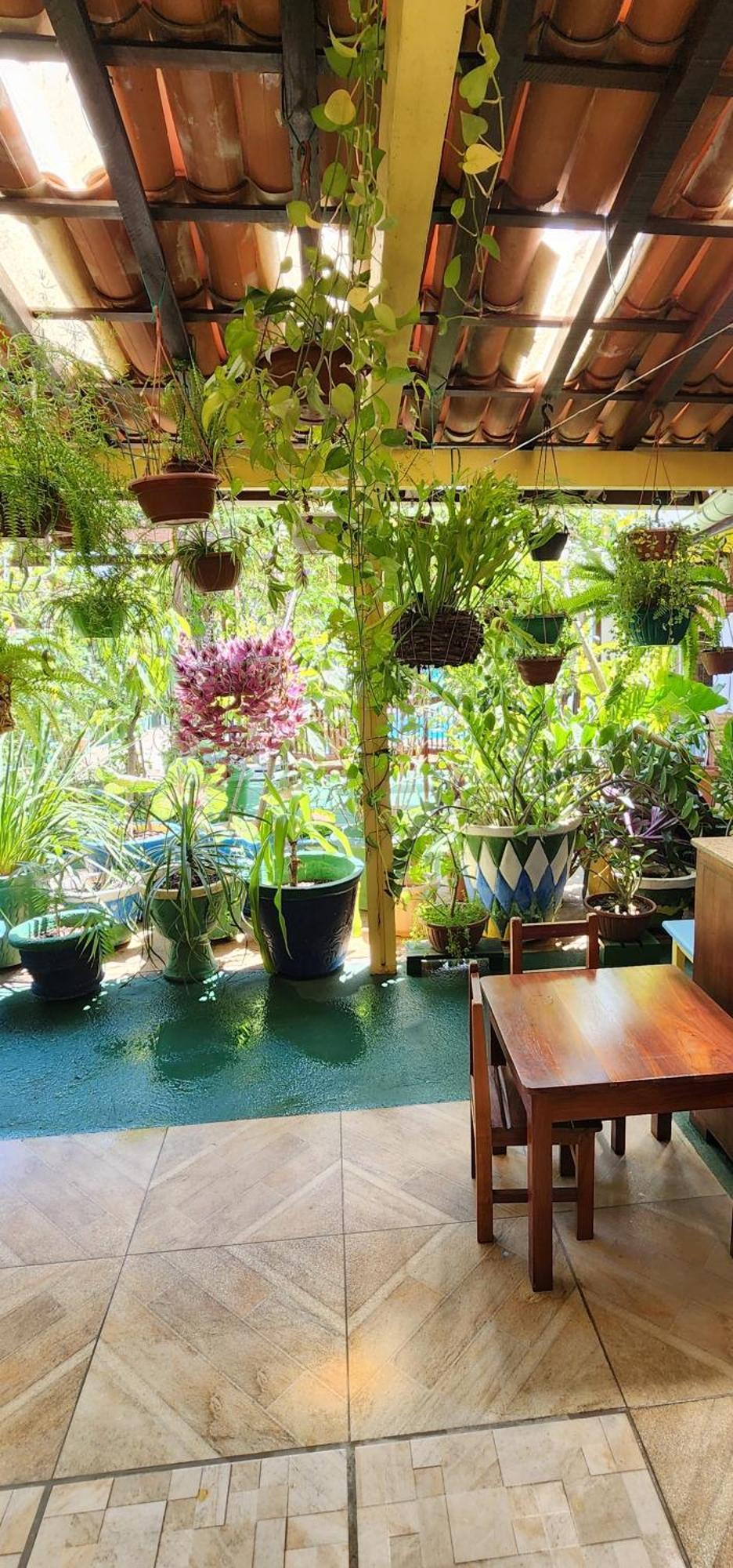 Mandala Dreams Pousada E Portal Holistico Maceio  Ngoại thất bức ảnh