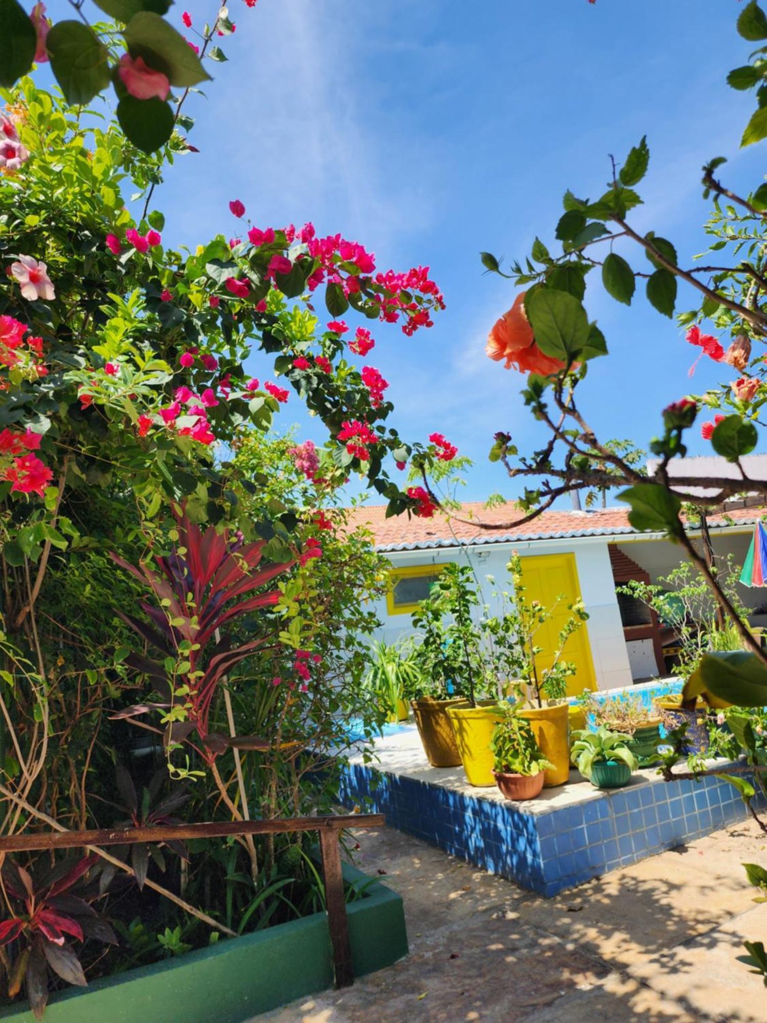 Mandala Dreams Pousada E Portal Holistico Maceio  Ngoại thất bức ảnh